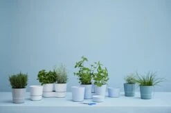 Mepal – Kruidenpot Twin - Wit – Automatische Bewatering – Altijd Verse Kruiden In De Keuken – Ook Geschikt Voor Planten 11 Mepal – Kruidenpot Twin - Wit – Automatische Bewatering – Altijd Verse Kruiden In De Keuken – Ook Geschikt Voor Planten -Mepal 1200x798 34