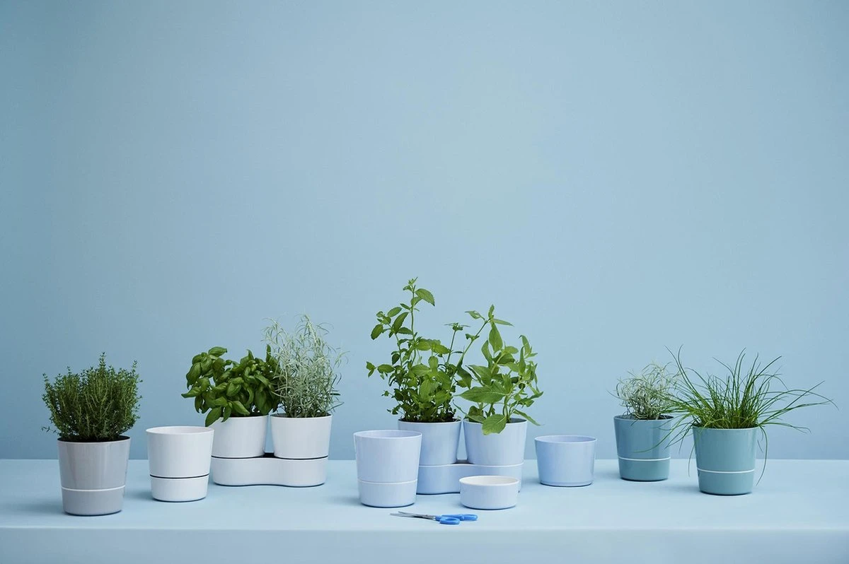 Mepal – Kruidenpot Twin - Wit – Automatische Bewatering – Altijd Verse Kruiden In De Keuken – Ook Geschikt Voor Planten 7 Mepal – Kruidenpot Twin - Wit – Automatische Bewatering – Altijd Verse Kruiden In De Keuken – Ook Geschikt Voor Planten - Afbeelding 5