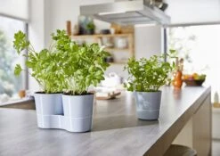 Mepal – Kruidenpot Large - Nordic Green – Automatische Bewatering – Altijd Verse Kruiden In De Keuken – Ook Geschikt Voor Planten 11 Mepal – Kruidenpot Large - Nordic Green – Automatische Bewatering – Altijd Verse Kruiden In De Keuken – Ook Geschikt Voor Planten -Mepal 1200x848 4